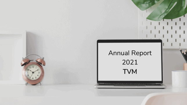 2021 Annual Report for Time Value Millionaire